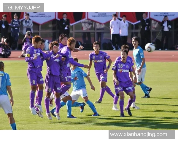 京都不死鸟与向日葵的对决谁能在这场比赛中绽放光彩与荣耀 京都不死鸟与向日葵的对决谁能在这场比赛中绽放光彩与荣耀