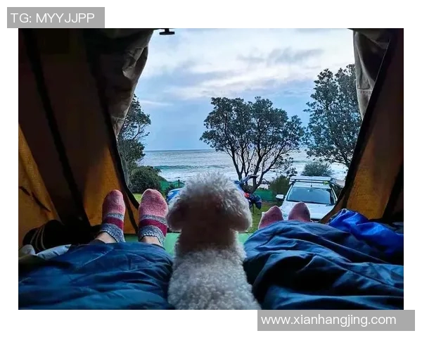 全面指南:选择与使用户外装备的必备技巧与推荐,助你畅享大自然探险 全面指南:选择与使用户外装备的必备技巧与推荐,助你畅享大自然探险