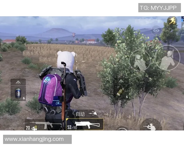 和平精英热议LNG在比赛中的速度表现引发玩家热烈讨论与争议