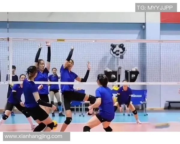 北京排球队的节奏体系与排球战术的完美结合探讨 北京排球队的节奏体系与排球战术的完美结合探讨