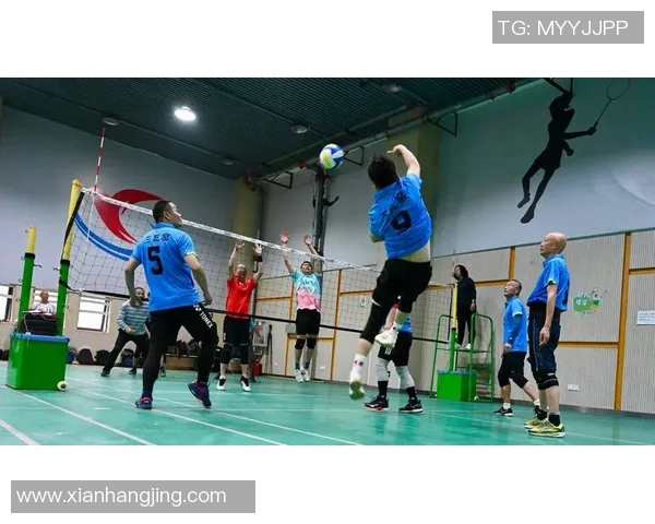 杨丽专访：探寻排球背后的成功秘诀与奋斗历程