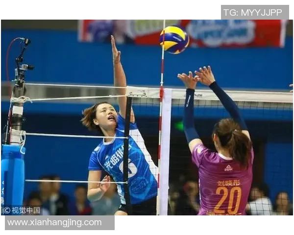 杭州排球队节奏之争引发热议球迷观点各异探讨比赛风格与战术选择