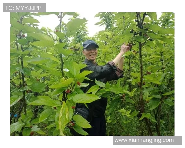 王芳的CSGO人生：从新手到职业选手的深度对话与成长历程