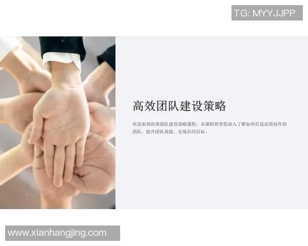 专访赵伟：深入探讨DOTA2成功背后的策略与团队精神